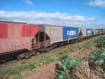 RUMO HPT-031913-9